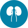 nephrology