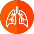 pulmonology-transformed